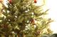 Jerome took this picture of our Christmas tree. :-)