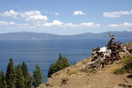 Tahoe Family Vacation 2006