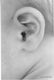 Jerome's cute little ear.