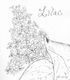 Lilacs 